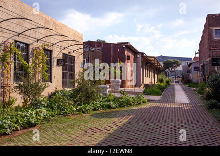 Johannesburg, Sud Africa, 30 Marzo - 2019: città interna del progetto di risanamento di vecchi edifici convertiti in workshop artistici. Foto Stock