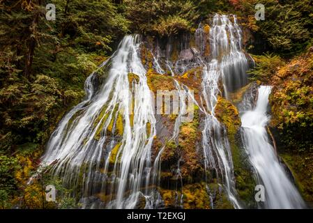 Cascata, Panther Creek Falls, Washington, Stati Uniti d'America Foto Stock