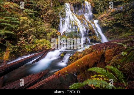 Cascata, Panther Creek Falls, tempo di esposizione, Washington, Stati Uniti d'America Foto Stock