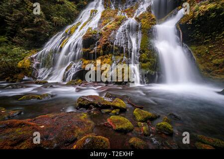 Cascata, Panther Creek Falls, tempo di esposizione, Washington, Stati Uniti d'America Foto Stock