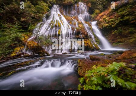 Cascata, Panther Creek Falls, tempo di esposizione, Washington, Stati Uniti d'America Foto Stock