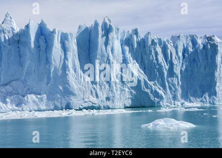 Lingua del ghiacciaio, Glaciar Ghiacciaio Perito Moreno, Abort bordo, parco nazionale Los Glaciares, Ande, El Calafate, Santa Cruz, Patagonia, Argentina Foto Stock