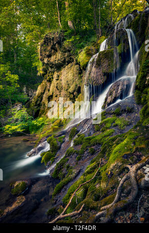 Bella lunga esposizione colpo di una cascata circondata da alberi con rocce coperte di muschio e un registro di bagnato in primo piano Foto Stock