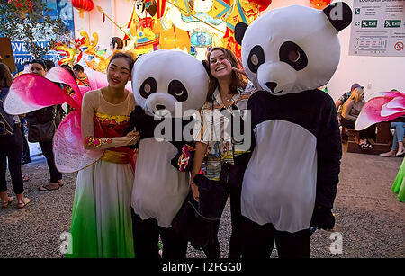 Cape Town, Sud Africa. 29 Mar, 2019. I partecipanti pongono per le foto durante una cultura cinese festival al vino Laurensford tenuta vicino a Città del Capo, Sud Africa, 29 marzo 2019. Credito: Armando Herdade/Xinhua/Alamy Live News Foto Stock