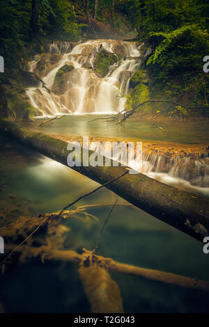 Bella steamy cascata che scorre in scale in profondità in una foresta di montagna con un registro ad albero caduto sul fiume in primo piano Foto Stock