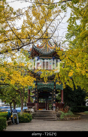 Pavilion di Green Lake Park, o Cuihu Park, Kunming, nella provincia dello Yunnan in Cina Foto Stock