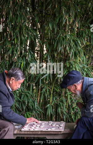 La gente del posto la riproduzione di andare, un cinese popolare gioco di bordo, nel verde Parco Lago, Kunming, nella provincia dello Yunnan in Cina Foto Stock