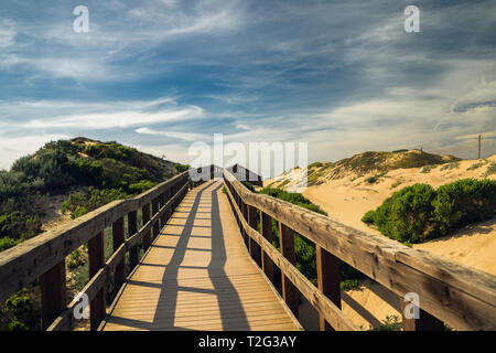 Legno rustico Beach Boardwalk attraverso le dune di sabbia. Oso Flaco Lago Area naturale del parco statale, California Foto Stock