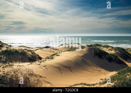 Le dune di sabbia e vista oceano. Oso Flaco Lago Area naturale del parco statale, California Foto Stock