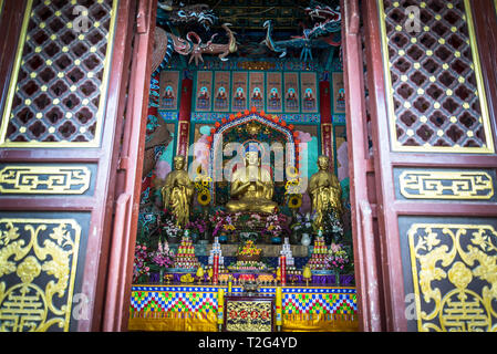 Altare nel Tempio di Yuantong, il più famoso tempio buddista, prima costruito nel VIII secolo, Kunming, nella provincia dello Yunnan in Cina Foto Stock