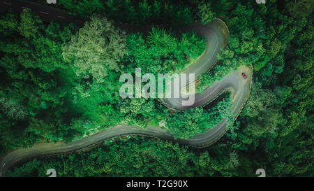 Vista aerea del car guida attraverso la foresta sulla strada di campagna. Faial, isola di Madeira, Portogallo Foto Stock
