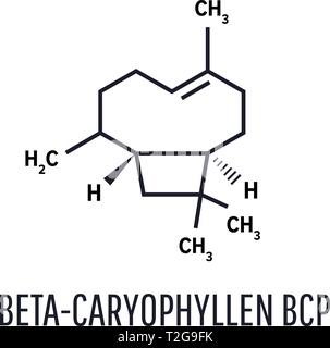 Cariofillené molecola. Formula di scheletro. Costituente di più a base di erbe oli essenziali Illustrazione Vettoriale