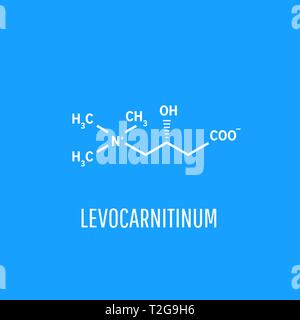 Levocarnitine, levocarnitine, anche l-carnitina sinistra carnitina.Acetilcarnitina molecola biologica Illustrazione Vettoriale