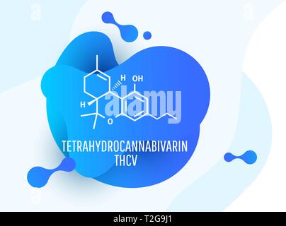 Tetrahydrocannabivarin formule chimiche dei cannabinoidi naturali. Illustrazione Vettoriale