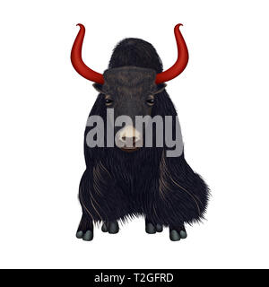 Disegnato a mano ritratto realistico di yak nero - illustrazione isolato su sfondo bianco - composizione simmetrica Foto Stock