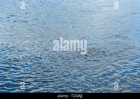 Fiume azzurro acqua fluente texture di sfondo il fuoco selettivo Foto Stock