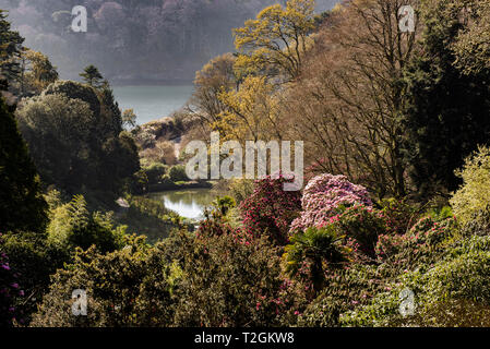 Giardino Trebah in Mawnan Smith in Cornovaglia. Foto Stock