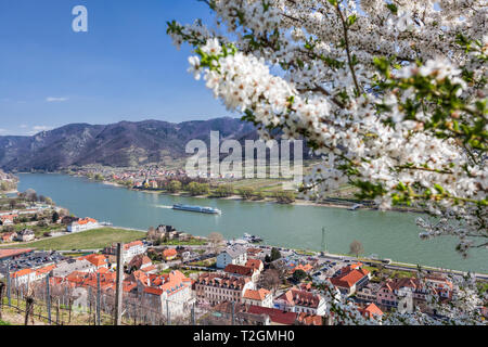 Tempo di primavera nella Wachau, Spitz village con la barca sul fiume Danubio, Austria Foto Stock