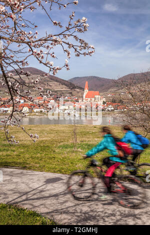 I ciclisti contro Weissenkirchen villaggio nella valle di Wachau durante il tempo primaverile, Austria Foto Stock