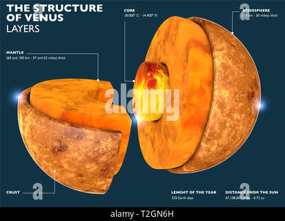 Struttura di Venere, la sezione del pianeta in 3d. La divisione del pianeta in parti dal nucleo per la crosta di Venere. Il rendering 3d. Foto Stock