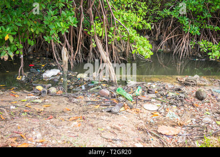 Una vista di una mangrovia piena di sporcizia sulla isola di Itamaraca - Pernambuco, Brasile Foto Stock