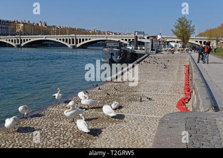 Lione, Francia, 29 marzo 2019 : Berges du Rhone sono una serie di marciapiedi, strade, percorsi ciclabili e pedonali lungo il fiume Rodano a Lione costruito tra il 2 Foto Stock