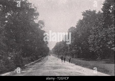 Tooting Bec comuni Foto Stock