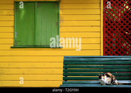 Blu scuro banco di legno con una gatta calico davanti casa colorati parete esterna, La Boca, Buenos Aires, Argentina Foto Stock