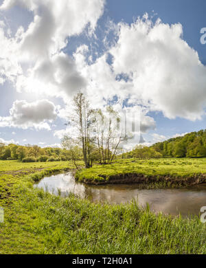 Paesaggio con piccolo fiume a valle Fyledalen riserva naturale, Tomelilla, Skane, Svezia e Scandinavia. Foto Stock