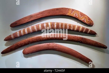 Boomerang sul display int il South Australian Museum, Adelaide, South Australia, Australia Foto Stock