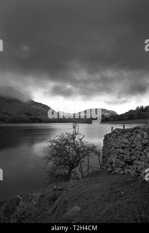 Le immagini in bianco e nero di una parete e la struttura ad albero viene preso a Crummock acqua. Crummock Water è situato nel Parco Nazionale del Distretto dei Laghi nella contea di Foto Stock