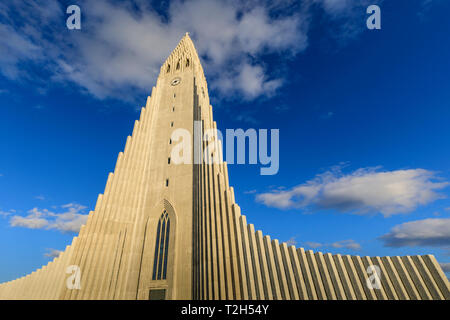 Chiesa Hallgrimskirkja a Reykjavik, Islanda, Europa Foto Stock