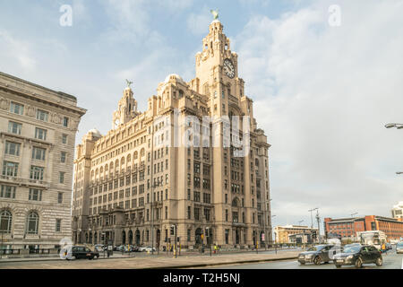 Royal Liver Building di Liverpool, in Inghilterra, in Europa Foto Stock