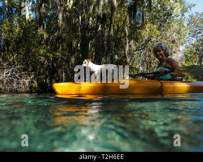 Paddler prende il cane per un giro in kayak giallo nella palude Foto Stock