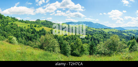 Panorama della campagna montana in estate campi rurali sulle colline erbose. ridge in distanza. splendido clima soleggiato Foto Stock