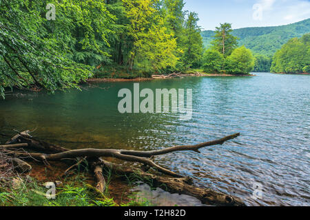 Lago tra il bosco di faggio. splendido scenario estivo vihorlat in montagna, SLOVACCHIA. destinazione meravigliosa per un weekend di vacanza Foto Stock