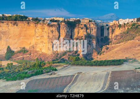 Campi coltivati e uliveti che circondano il centro storico arroccato sulle rocce, Ronda, provincia di Malaga, Andalusia, Spagna Foto Stock