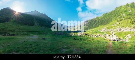 Splendida valle dei monti fagaras in estate. Un paesaggio fantastico di Romania presso sunrise. posizione tra transfagarasan road e balea creek. hig Foto Stock