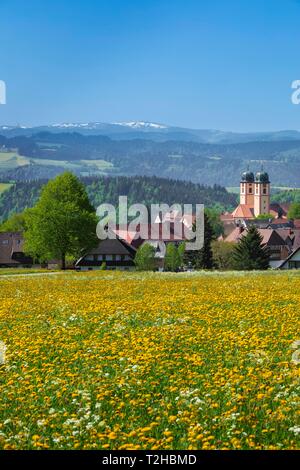 Fioritura di tarassaco prato di fronte St.Margen monastero con Chiesa in primavera, dietro il Monte Feldberg Glottertal, Foresta Nera Foto Stock