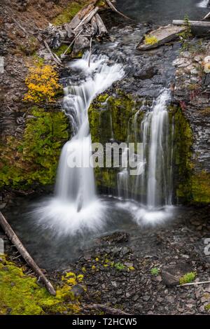 Cascata, Double cade, il fiume selvaggio Tumalo Creek, piegare Deschutes County, Oregon, Stati Uniti d'America Foto Stock