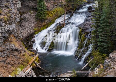 Cascata, Double cade, il fiume selvaggio Tumalo Creek, piegare Deschutes County, Oregon, Stati Uniti d'America Foto Stock