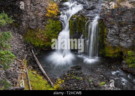 Cascata, Double cade, il fiume selvaggio Tumalo Creek, piegare Deschutes County, Oregon, Stati Uniti d'America Foto Stock