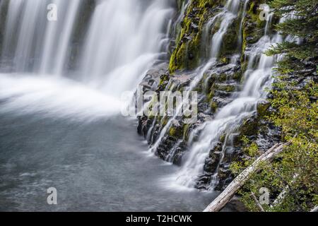 Cascata, Double cade, il fiume selvaggio Tumalo Creek, piegare Deschutes County, Oregon, Stati Uniti d'America Foto Stock