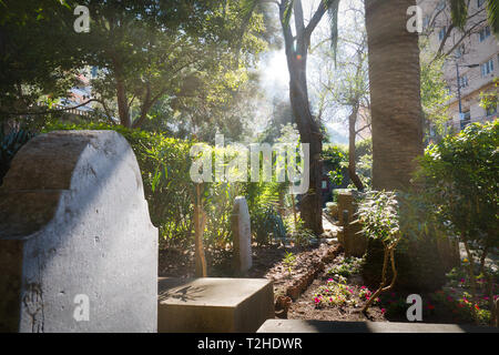 Raggi di sole tra gli alberi illuminando un antica tomba nel cimitero di Trafalgar, in Gibilterra Foto Stock