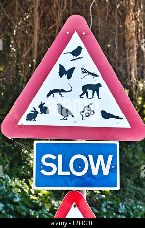 Pericolo segno di traffico mediante il passaggio di animali in libertà situato sulla strada in salita a Gibilterra rock Foto Stock