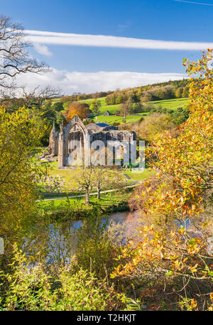 Bolton Abbey e il fiume Wharfe, nella Bassa Wharfedale, Yorkshire Dales National Park, Enhland, Regno Unito, Europa Foto Stock