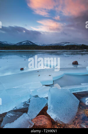 Lastre di ghiaccio in inverno severo meteo su Loch Morlich, all'alba, nel Badenoch e Strathspey area di Highland, Scotland, Regno Unito Foto Stock