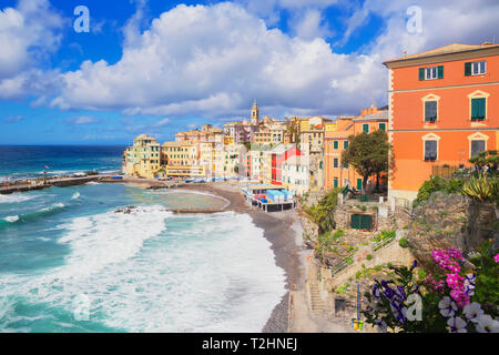 Il pittoresco villaggio di Bogliasco, Bogliasco, Liguria, Italia, Europa Foto Stock