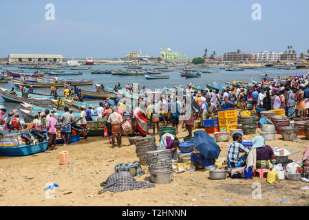 Spiaggia di Vizhinjam mercato del pesce, vicino a Kovalam, Kerala, India, Asia del Sud Foto Stock