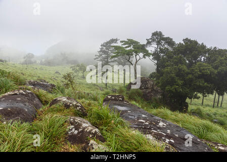 Ponmudi colline, Thiruvananthapuram distretto, Kerala, India, Asia del Sud Foto Stock